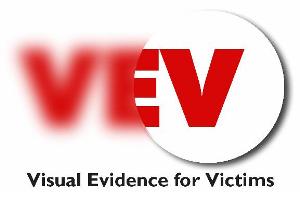 visual-evidence-logo
